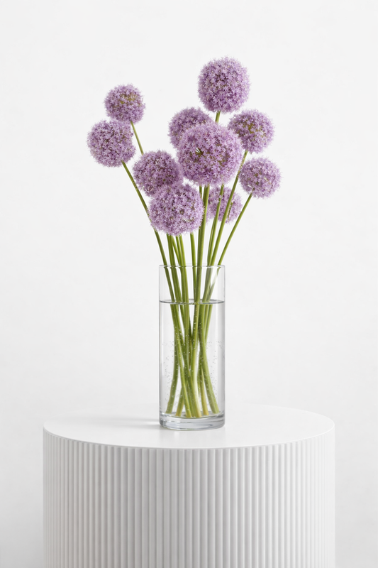 Allium